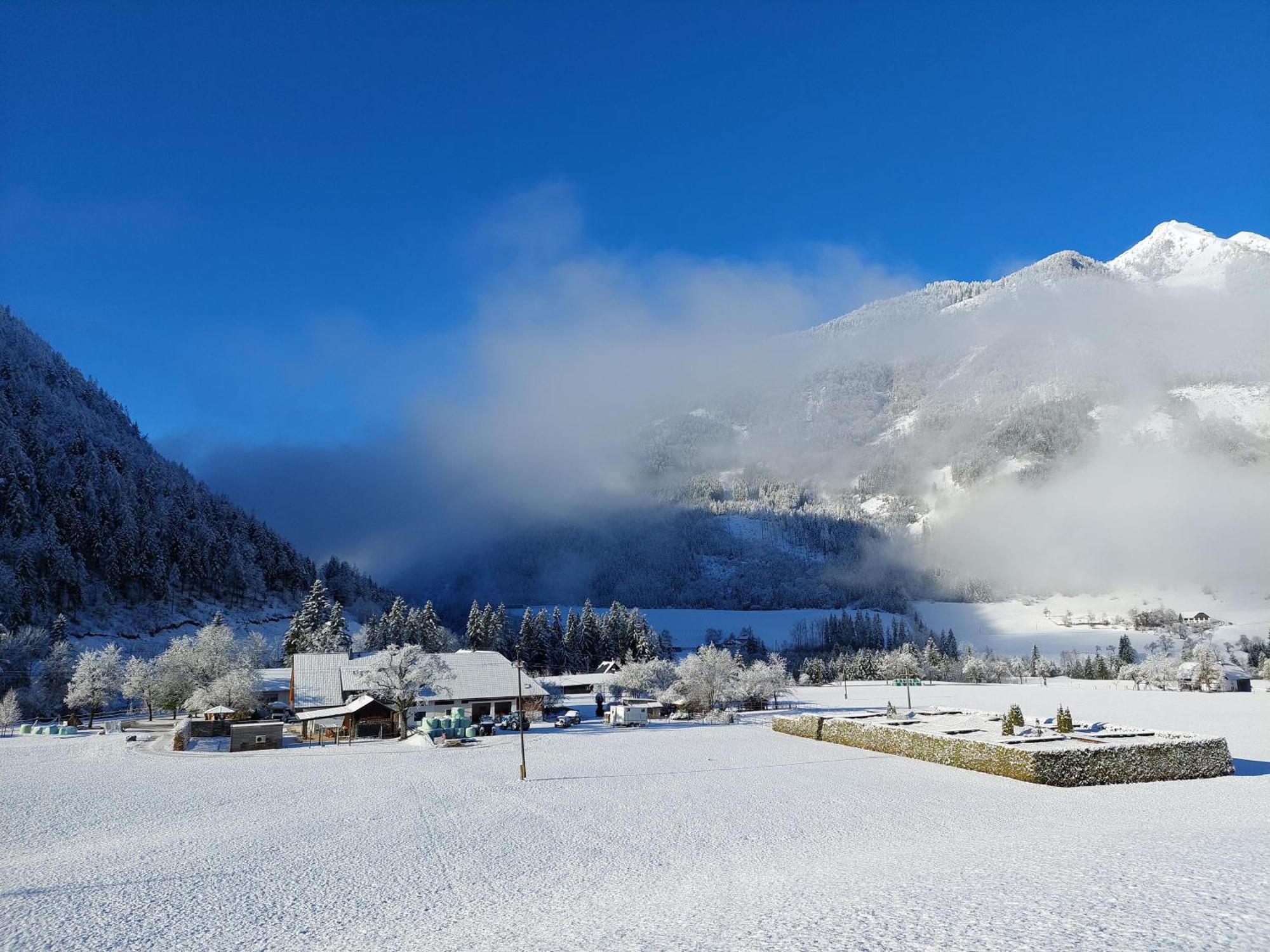 Ferienwohnung Hofpower'S Mountain Feeling Hinterstoder Exterior foto