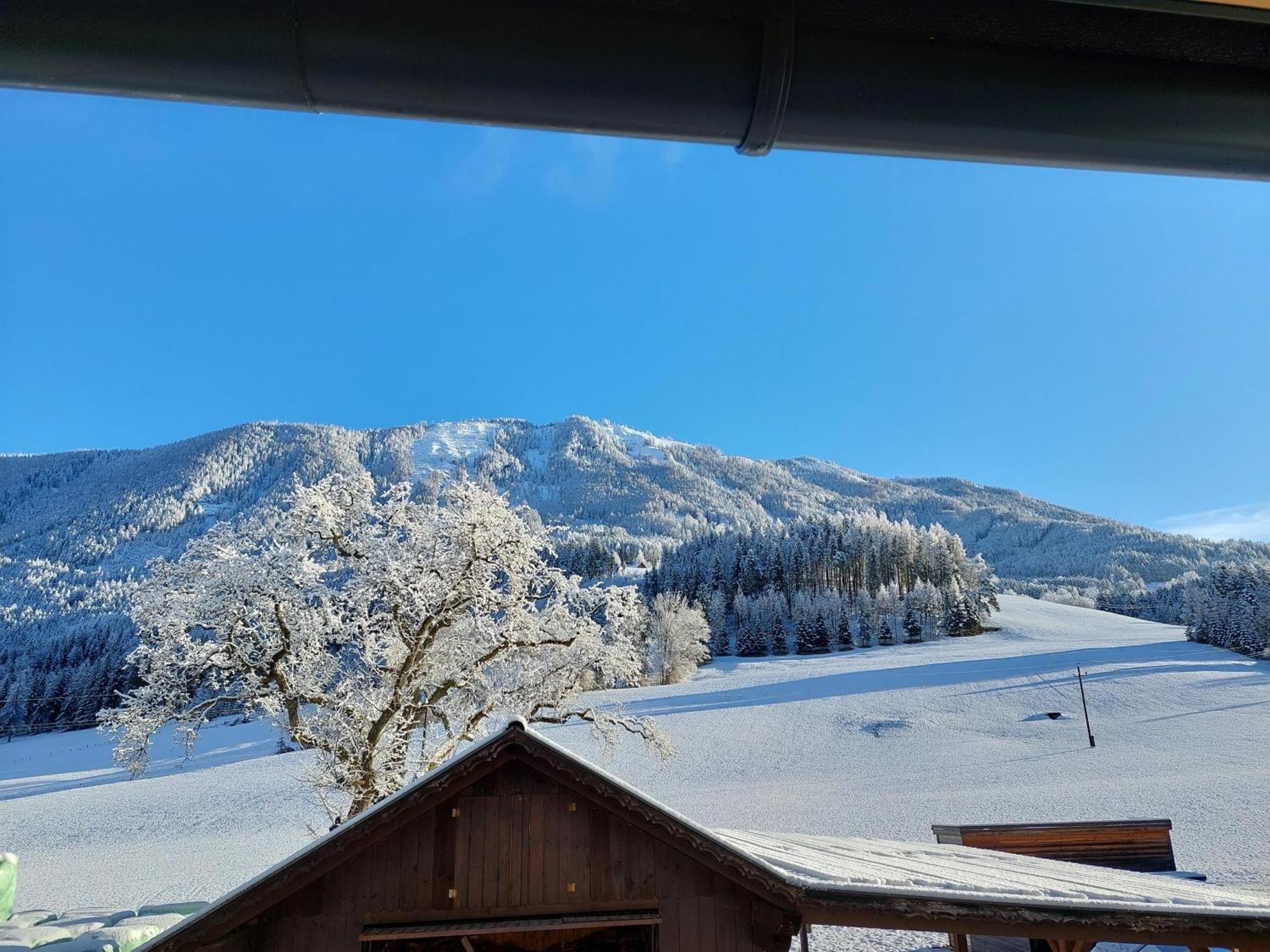Ferienwohnung Hofpower'S Mountain Feeling Hinterstoder Exterior foto