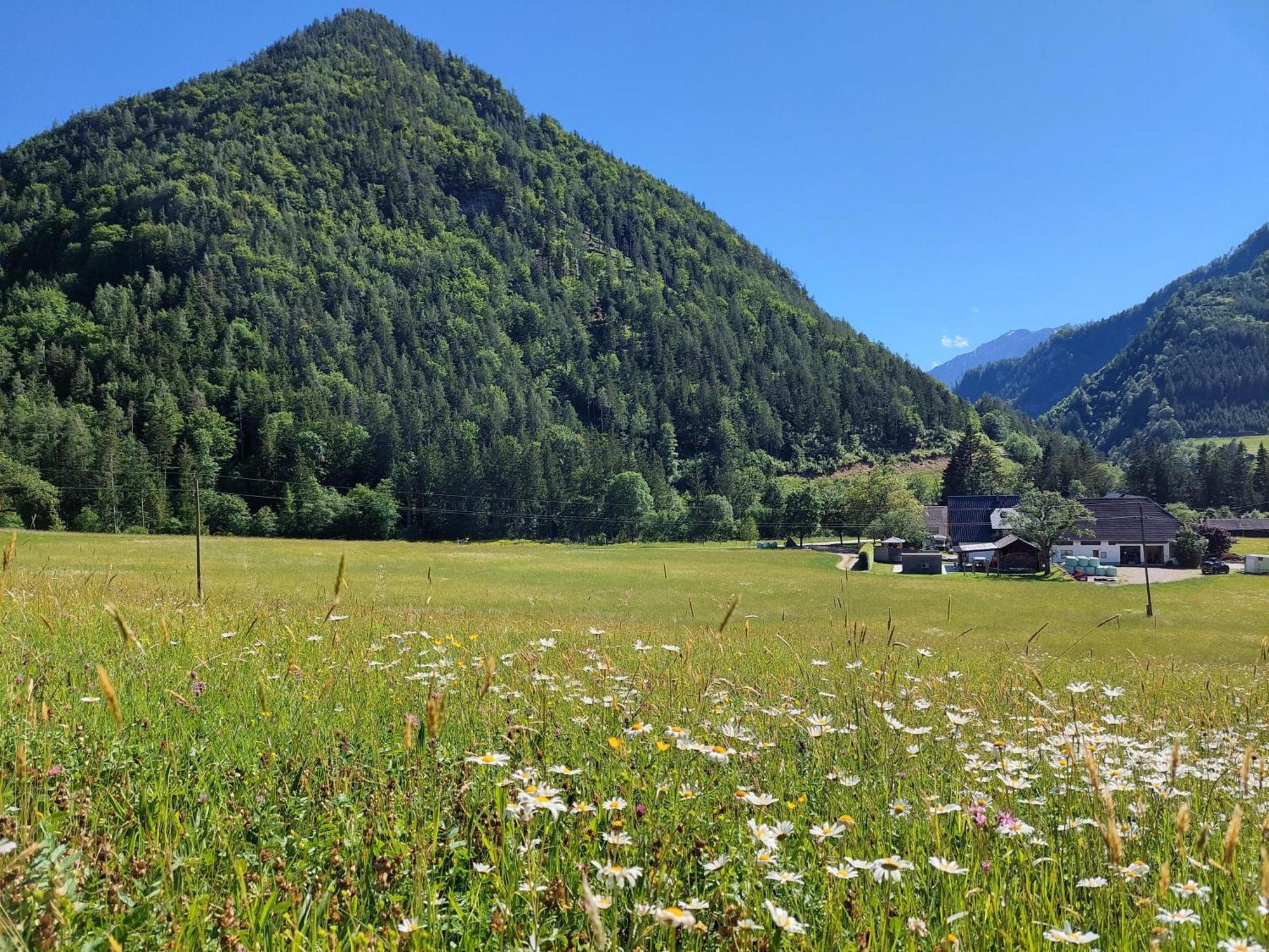 Ferienwohnung Hofpower'S Mountain Feeling Hinterstoder Exterior foto